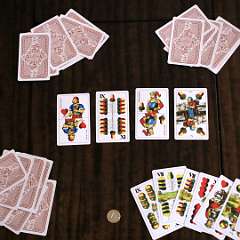 21: Pleva