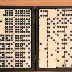 2: Domino 9
