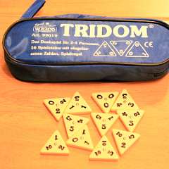 21: Tridom