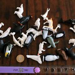 75: Artic_Wildlife