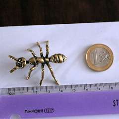 108: BrassAnt