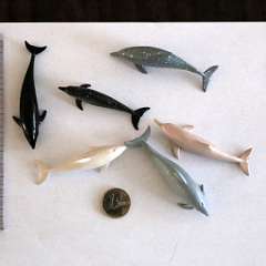 69: Delfins