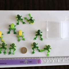 76: Frog_silicone