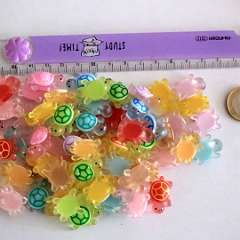 51: IMG_7569