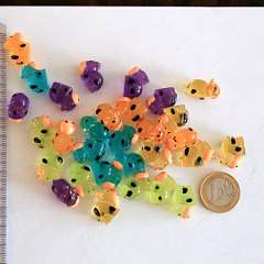 79: IMG_7647