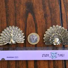 117: Peacock_Brass