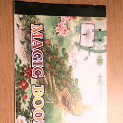 29: IMG_5072