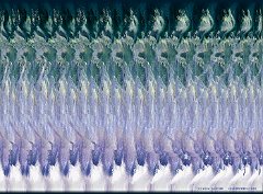 a0d697ac72_10674292_o2