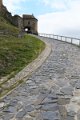 IMG_4911