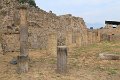 IMG_7060