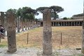 IMG_7084